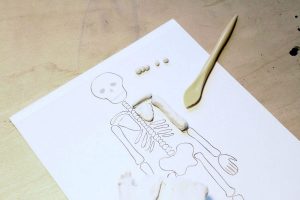 kostra model