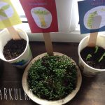 recenze Ani-Muk iKarkulka